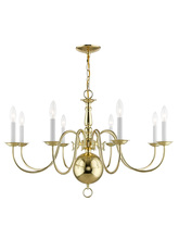 Livex Lighting 5007-02 - 8 Light Polished Brass Chandelier