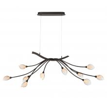 Lib & Co. US 12234-043 - Modena, 10 Light Oval LED Chandelier,
 Black with Gold Accent