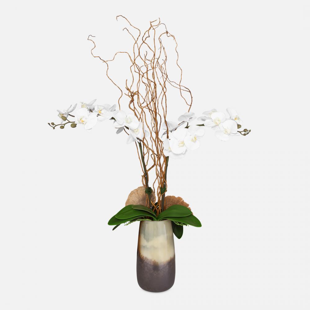 Uttermost Earthbound Orchid With Vase