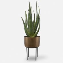 Uttermost 60217 - Uttermost Arabia Aloe Planter, 2 CARTONS