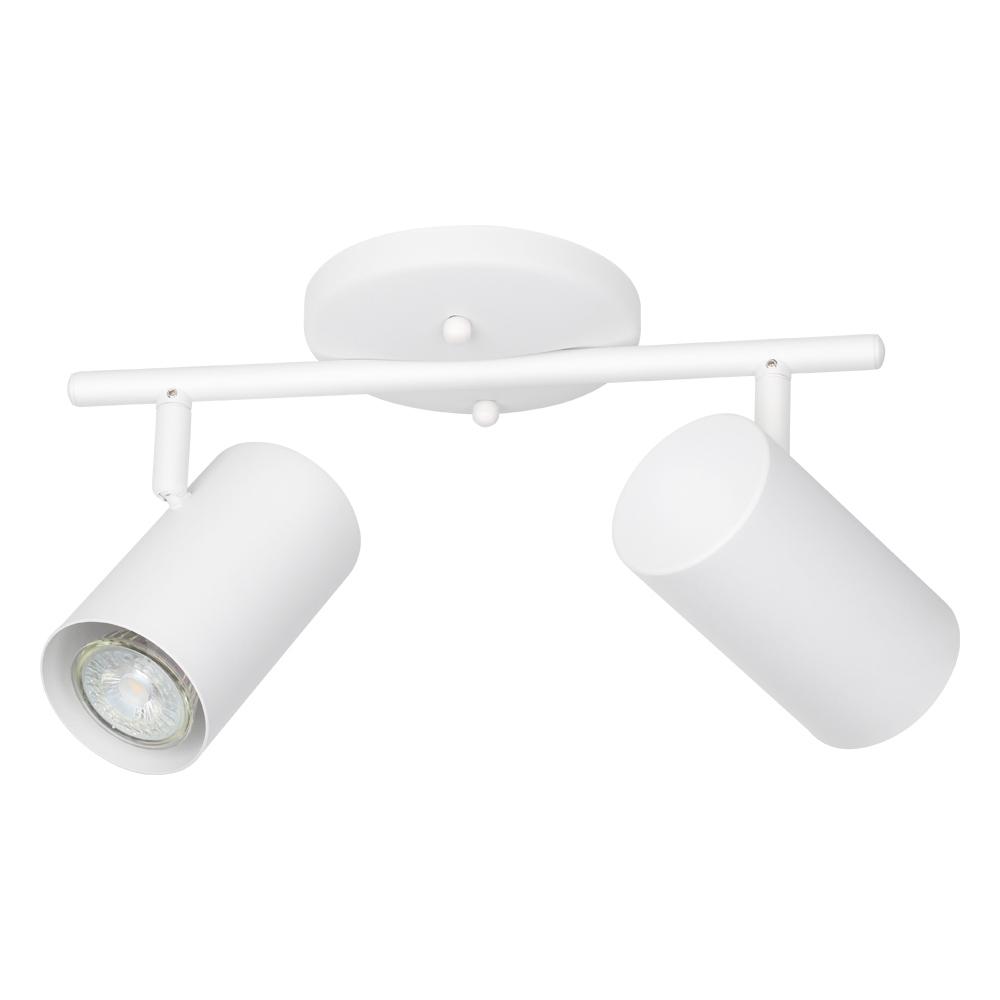 2L Track Light