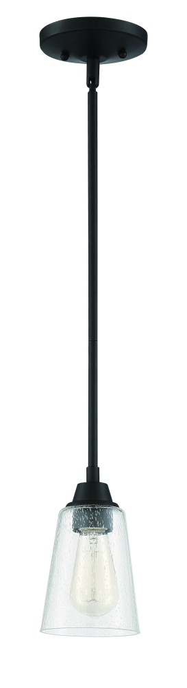 1 Light Mini Pendant