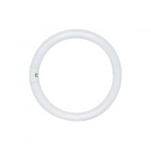 Satco Products Inc. S6507 - 30 Watt; T9; Circline Fluorescent; 3000K; Soft White; 82 CRI; 4-Pin base