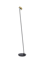 Bethel International MU149F64BR - Black and Stain Brass LED Floor Lamp