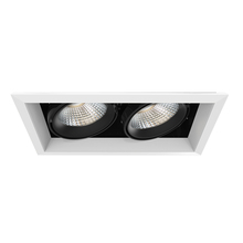 Eurofase TE132LED-40-4-02 - MuLT, 26w, Trm, 2LT , 40k, Wht/blk