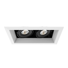 Eurofase TE162LED-40-2-02 - MuLT, 15w, Trm, 2LT , 40k, Wht/blk