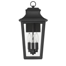 Hunter 46082 - Hunter Spring Cove Matte Black with Clear Glass 3 Light