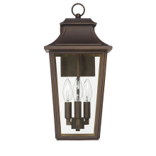 Hunter 46083 - Hunter Spring Cove Matte Bronze with Clear Glass 3 Light
