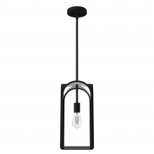 Hunter 19738 - Hunter Dukestown Natural Black Iron and Silver Leaf 1 Light Pendant Ceiling Light Fixture