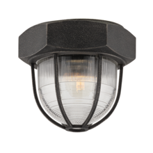 Troy C3891-APW - Acme Flush Mount