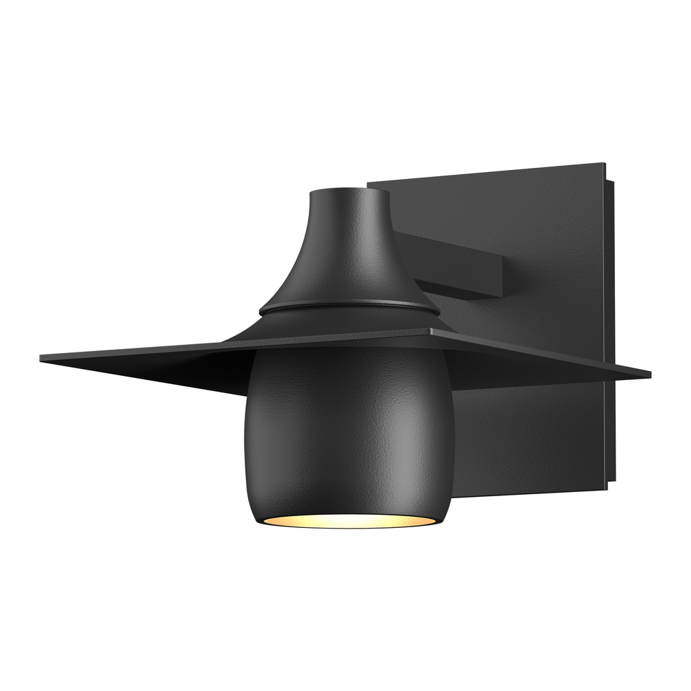 Hood Dark Sky Outdoor Sconce