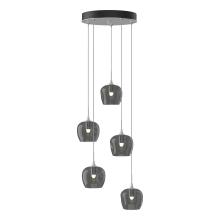 Hubbardton Forge 131123-SKT-STND-82-YL0709 - Ume 5-Light Pendant