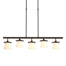 Hubbardton Forge 136605-SKT-STND-14-GG0242 - Wren 5 Light Pendant