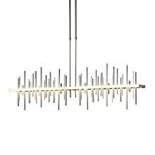 Hubbardton Forge 139726-LED-LONG-86-85 - Cityscape Large LED Pendant