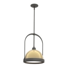 Hubbardton Forge 187462-SKT-MULT-20-86 - Atlas Small Pendant