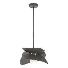 Hubbardton Forge 369455-SKT-STND-20 - Hibiscus Outdoor Pendant