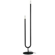 Dainolite WAN-602F-MB - 2 Light Incandescent Floor Lamp, Matte Black