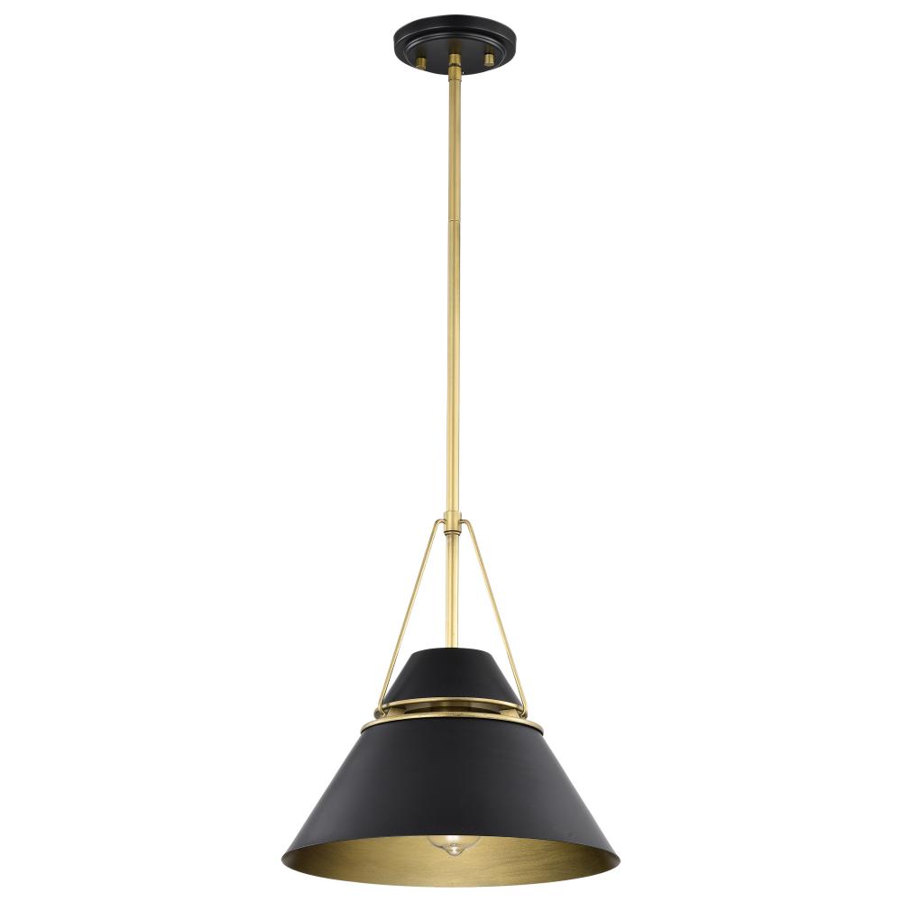 Adina 1 Light Medium Pendant; Matte Black and Natural Brass Finish