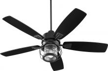 Quorum 3525-69 - GALVESTON FAN - TXB