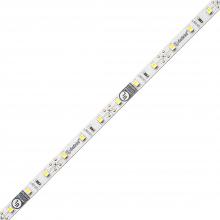 Diode Led DI-12V-FVAM-80100 - FLUID VIEW LED Tape Light - 12V, Amber, 80 CRI, 100 ft.