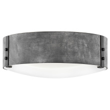 Hinkley 29203DZ - Medium Flush Mount