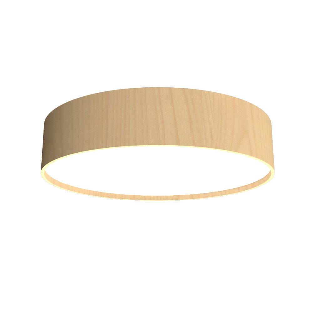 Cylindrical Accord Ceiling Mounted 5012 LED